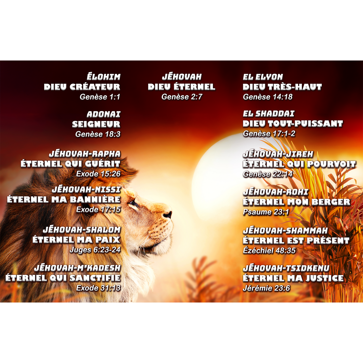 Toile - Les noms de Dieu avec YHWH au centre, (lion en arrière plan)